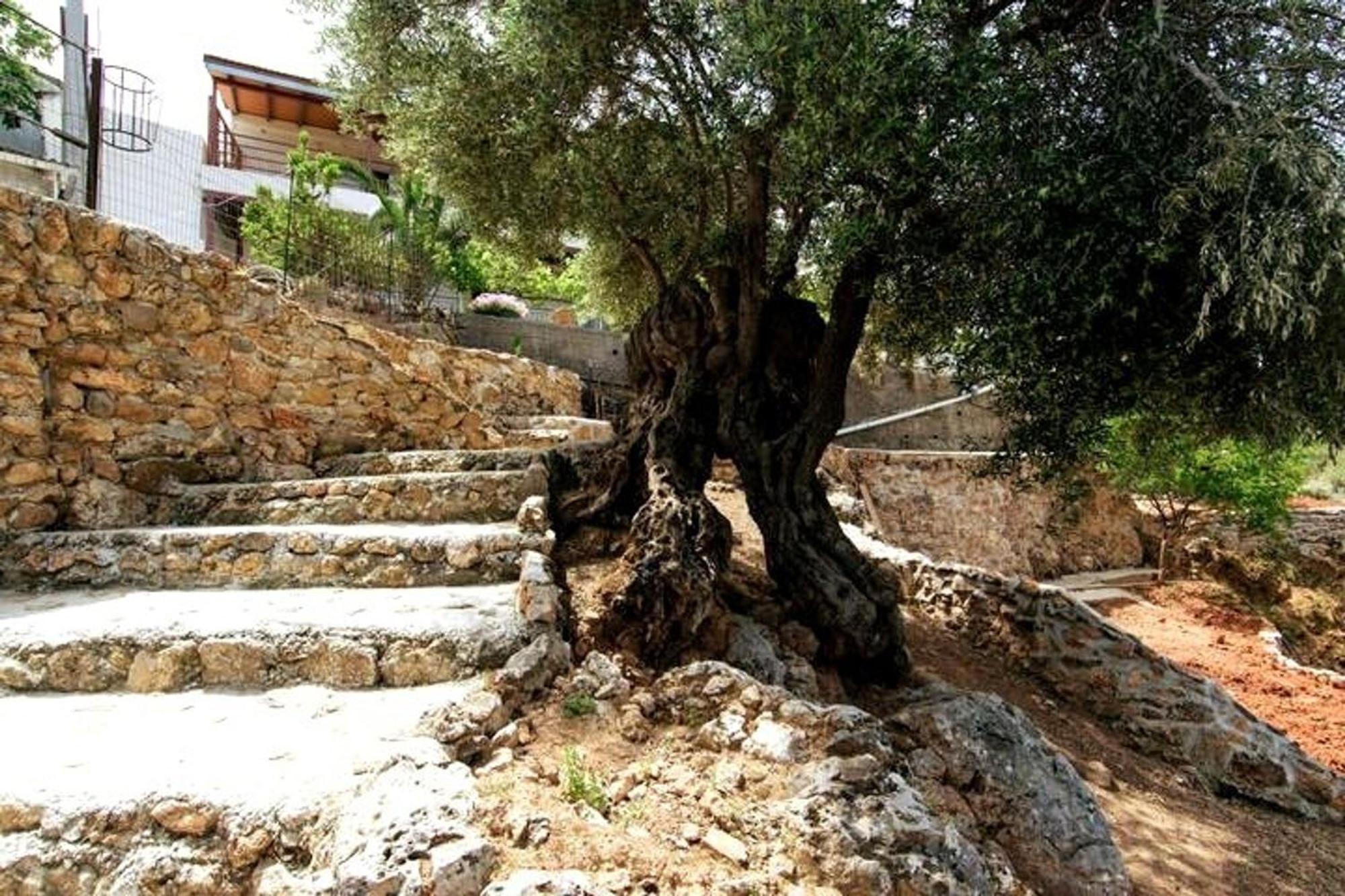 Aoria Traditional House With Stuning Mountain View Loulos ภายนอก รูปภาพ